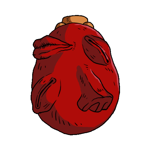 behelit01